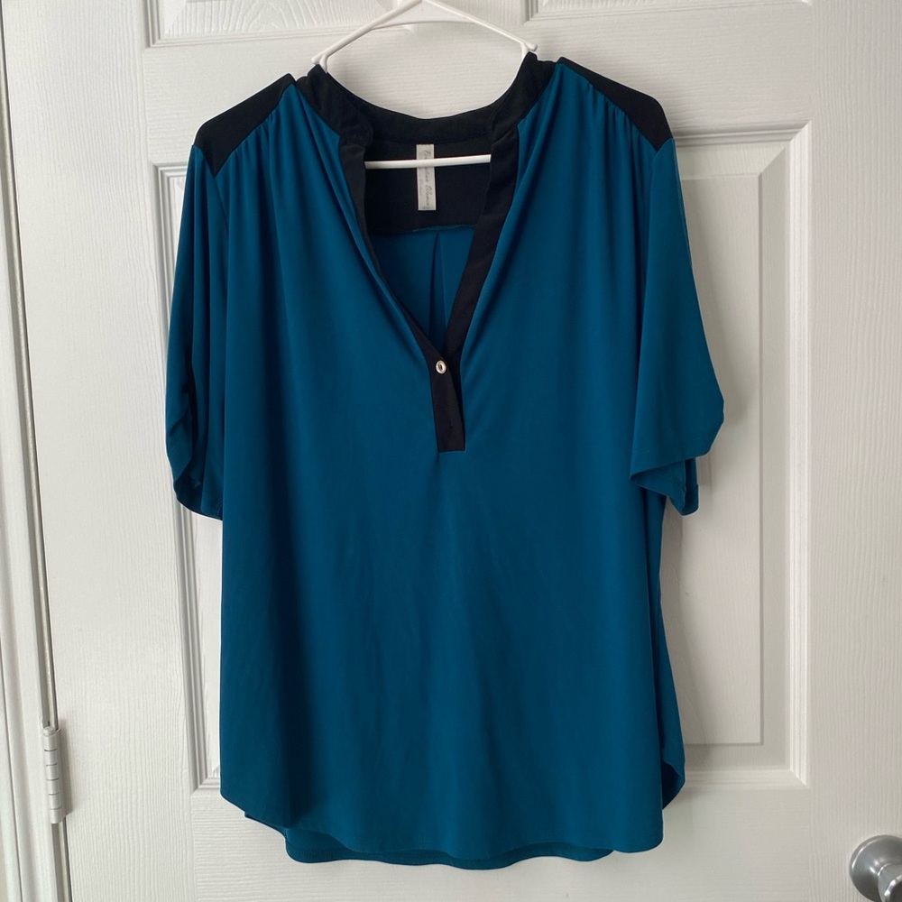 1X teal blouse.